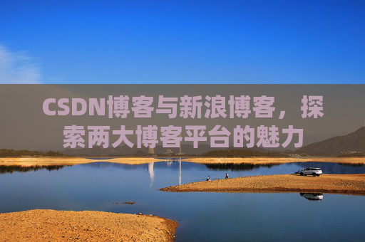 CSDN博客与新浪博客,探索两大博客平台的魅力
